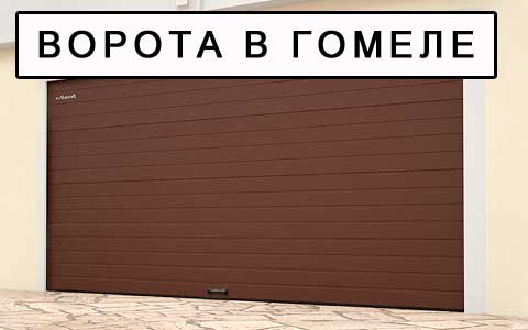 Ворота в Гомеле Ворота в Гомеле